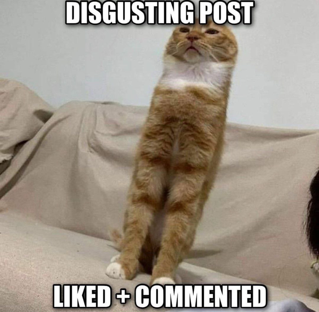 DISGUSTING POST LIKED