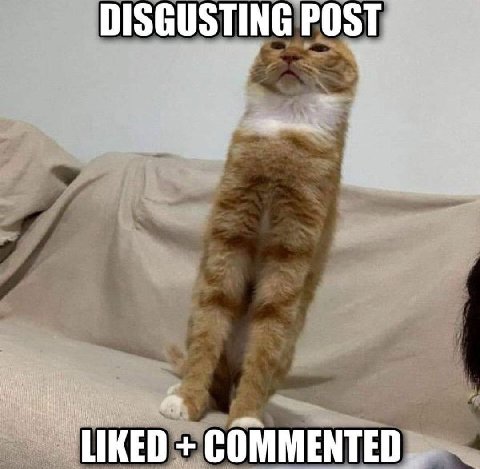 DISGUSTING POST LIKED