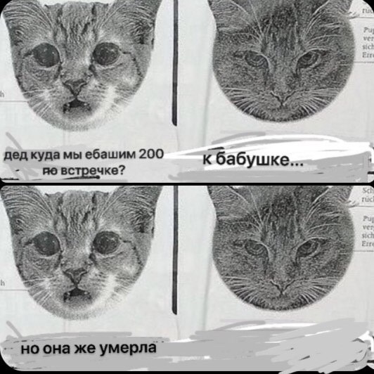Puy дед куда мы ебашим 200 К бабушке... певстречке? у a