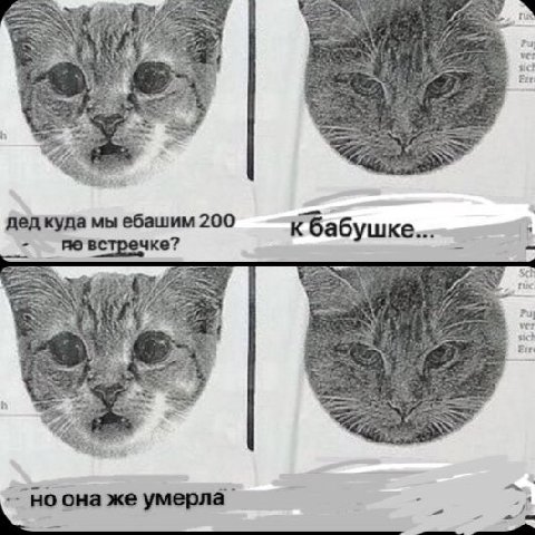 Puy дед куда мы ебашим 200 К бабушке... певстречке? у a