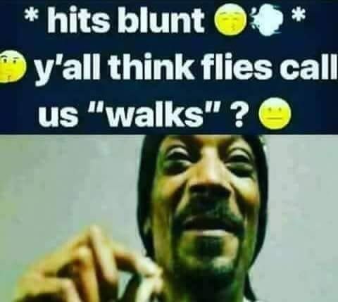 hits blunt y'all think flies call