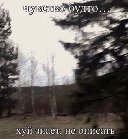 чув 10 4a хуи знает, не описать