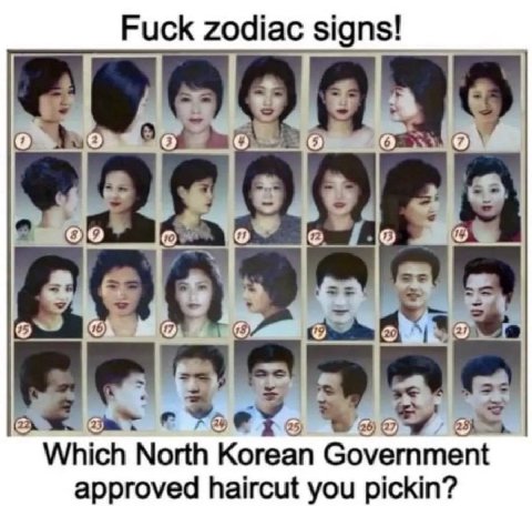 Fuck zodiac signs! Which North Korean Government approved haircut you pickin?