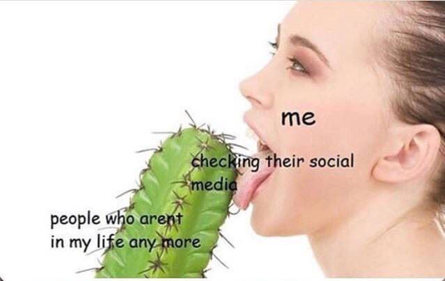 7% their social eople иво аге in my 6.“ 4