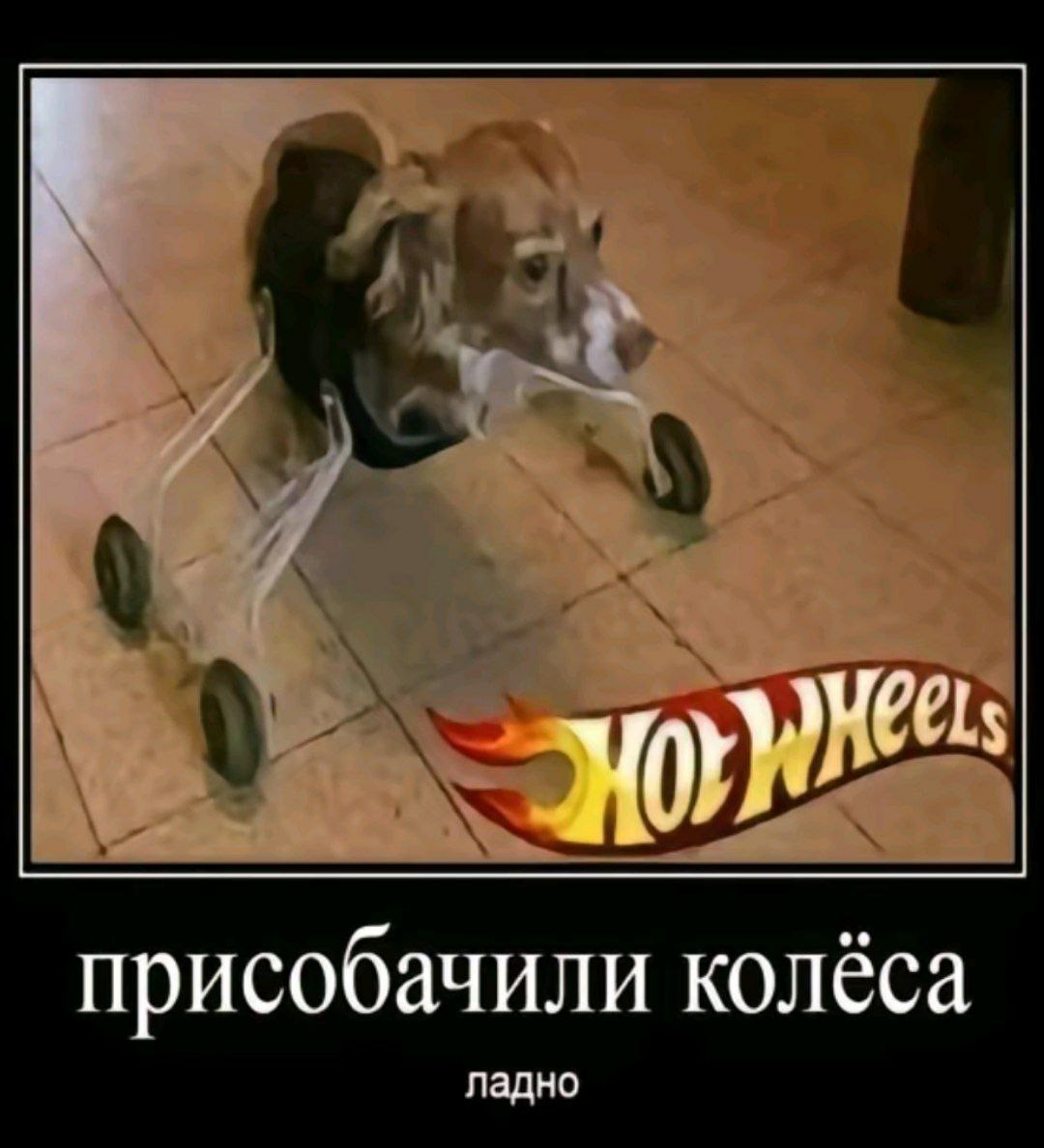 присобачили колёса ладно