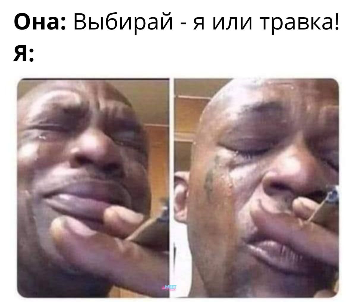Она: Выбирай я или травка! Я: к.