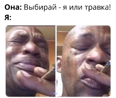 Она: Выбирай я или травка! Я: к.