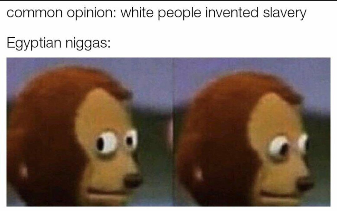 common opinion: white people invented slavery Egyptian niggas: