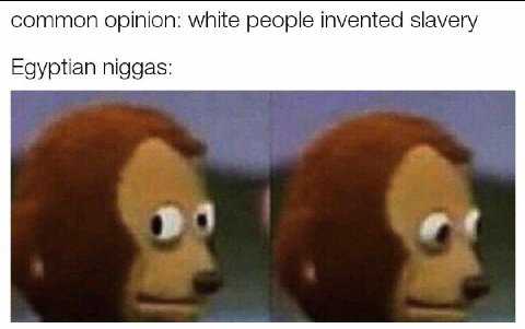 common opinion: white people invented slavery Egyptian niggas: