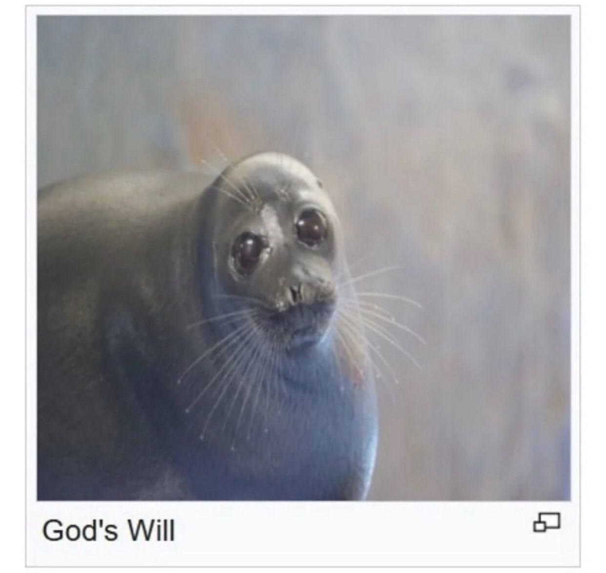 God's Will