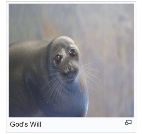 God's Will