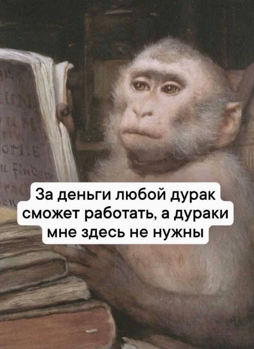 логика моего руководства: