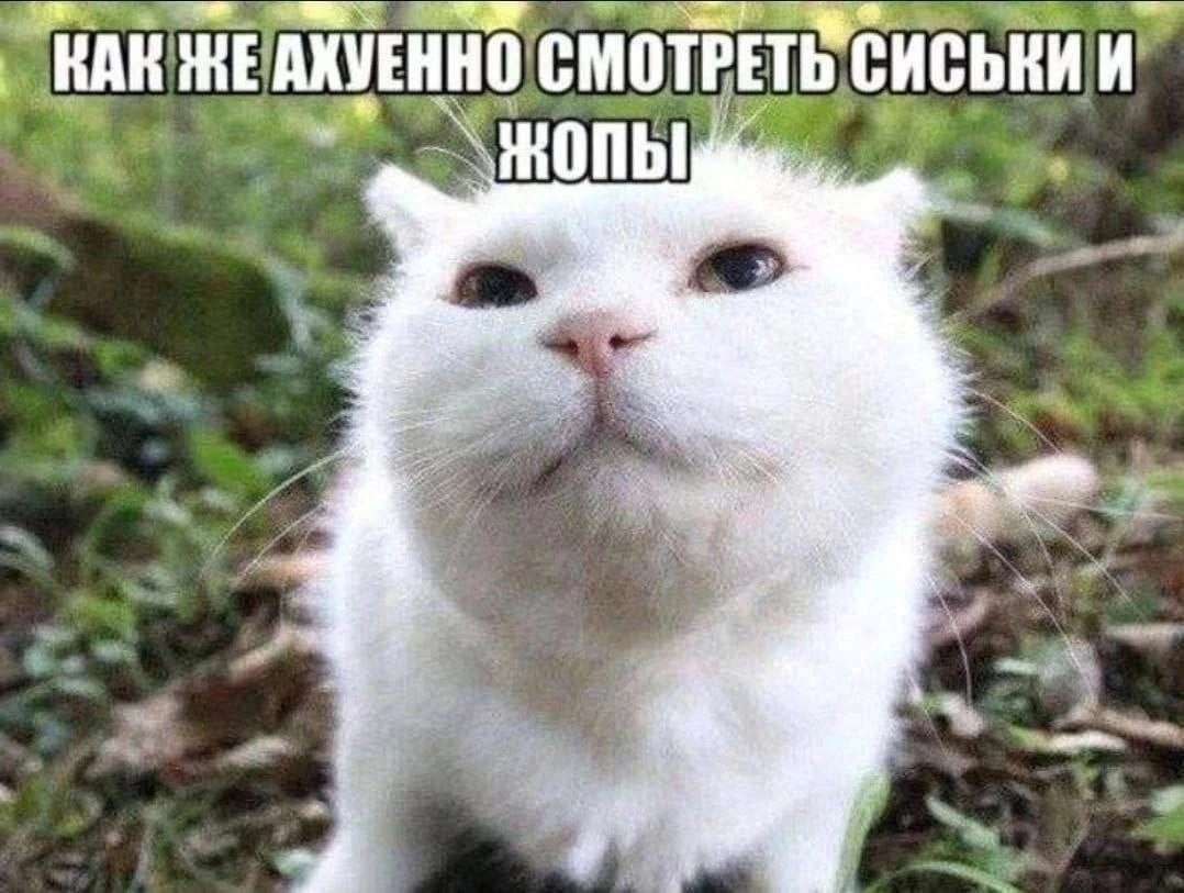 THAR ANVEHHO СМОТРЕТЬ СИСЬКИ 4