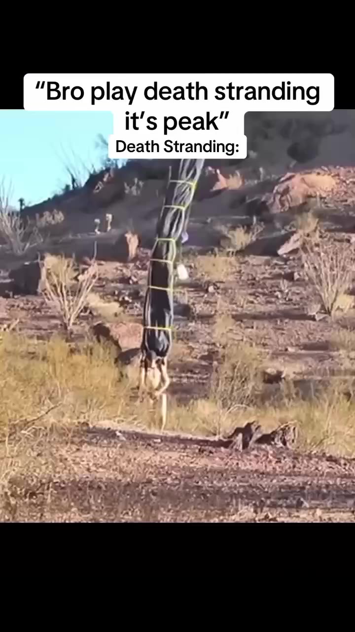 “Bro play death stranding = А i СЕР НАЦИИ