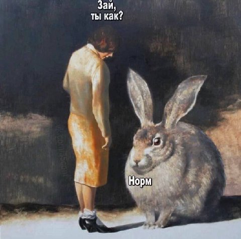 Заи, ты как? Норм