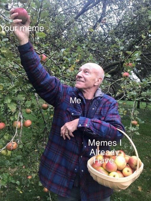 at a 2. Метез рая