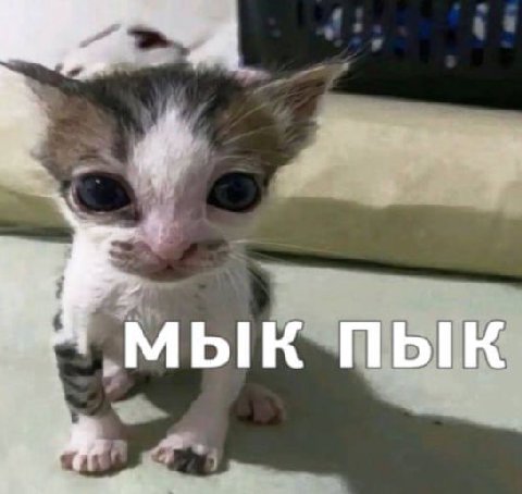 bIK