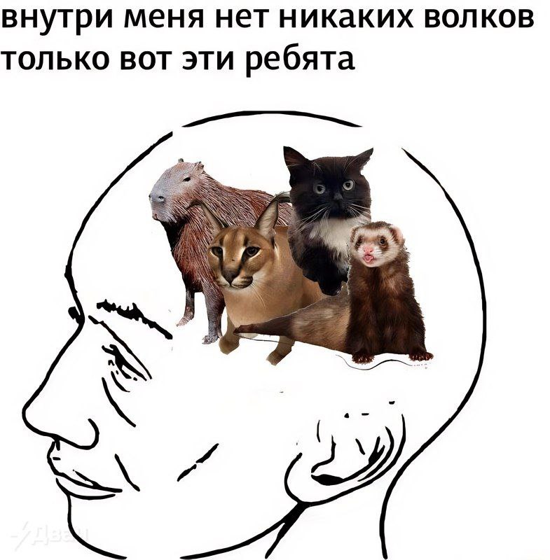 внутри меня нет никаких волков ТОЛЬКО ВОТ ЭТИ ребята