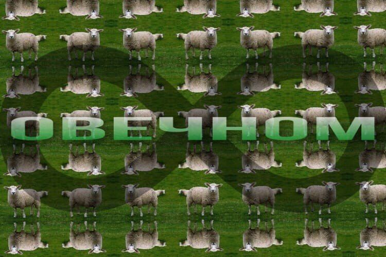 i у