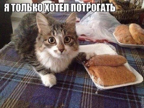 ХОТЕЛ ПОТРОГАТЬ ПОТРОГАТЬ