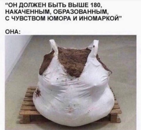 “ОН ДОЛЖЕН БЫТЬ ВЫШЕ 180, НАКАЧЕННЫМ, ОБРАЗОВАННЫМ, С ЧУВСТВОМ ЮМОРА И ИНОМАРКОЙ” ОНА: