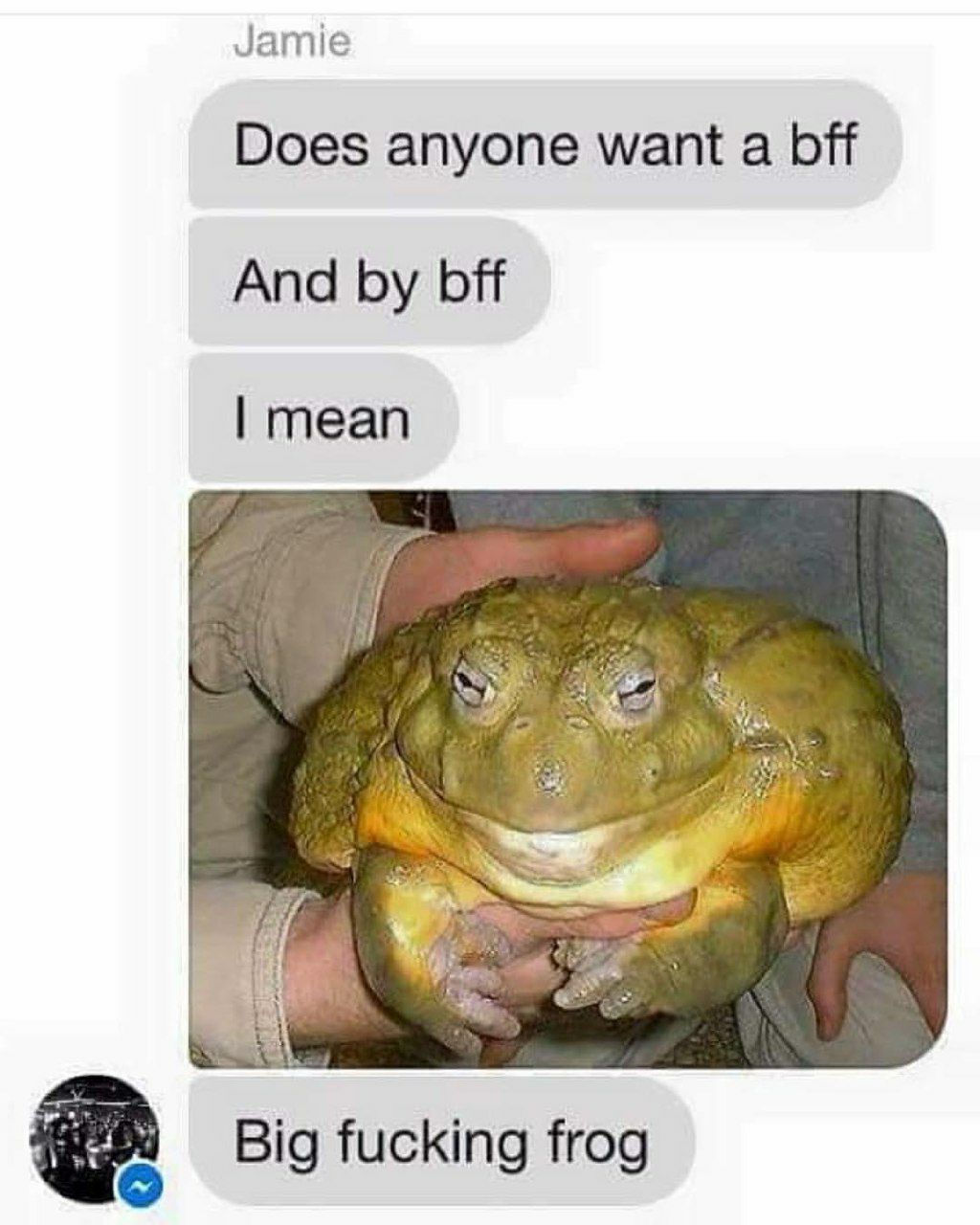 Jamie Does anyone want a bff And bff mean Big fucking frog