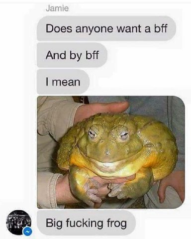 Jamie Does anyone want a bff And bff mean Big fucking frog