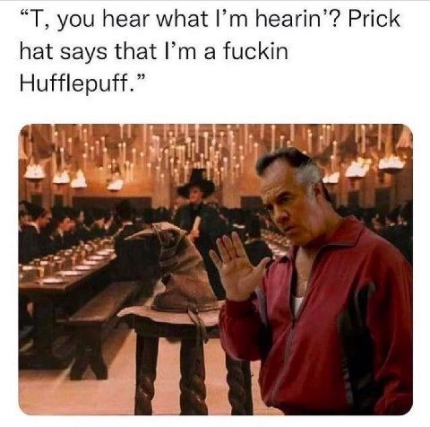 you hear what hearin’? Prick hat says that a fuckin Hufflepuff.” A it