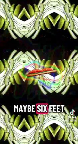 \ MAYBE SIXIEEETs