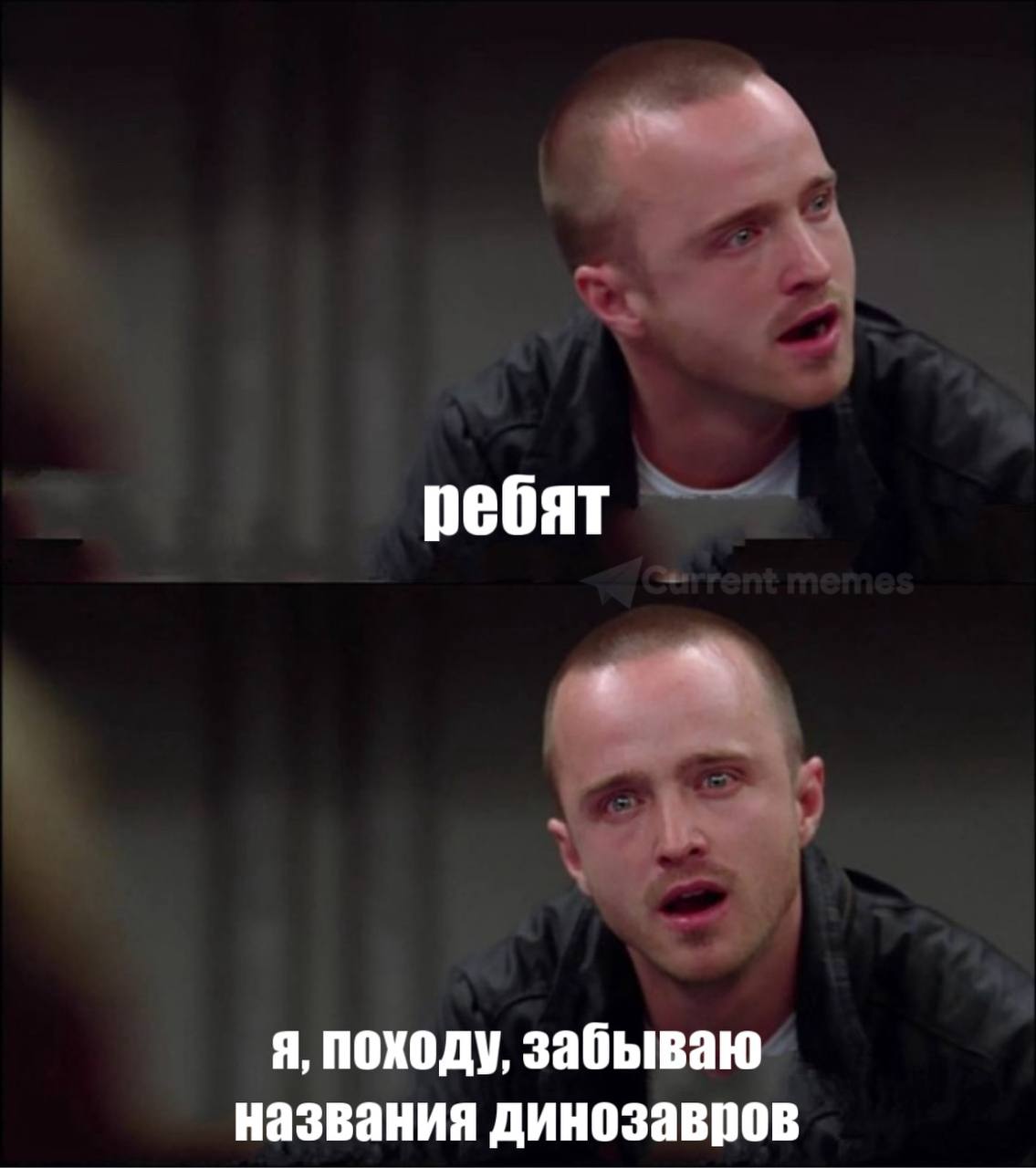 ребят я, походу, забываю названия динозавров