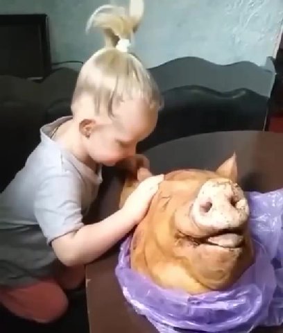 мем