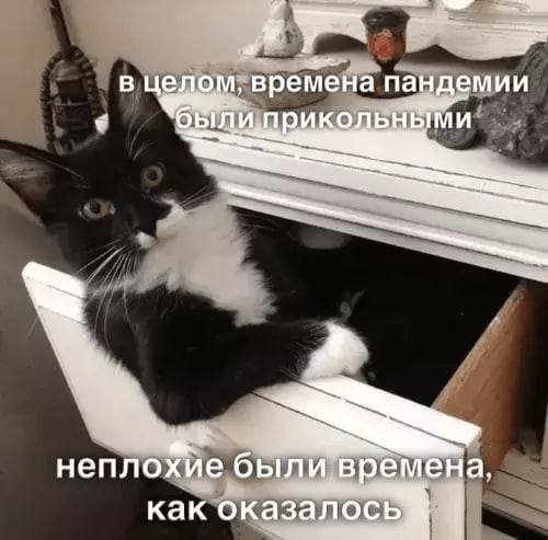 в целом, вре мена пандемии былиприкольн неплохие были времена, как оказалось