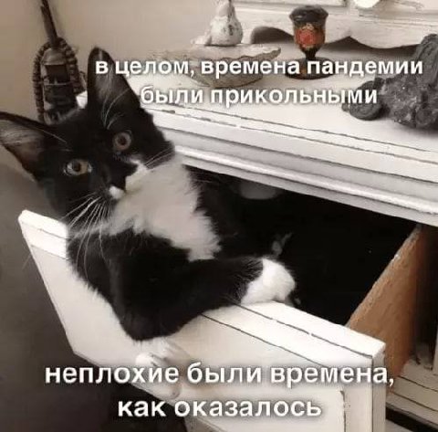 в целом, вре мена пандемии былиприкольн неплохие были времена, как оказалось