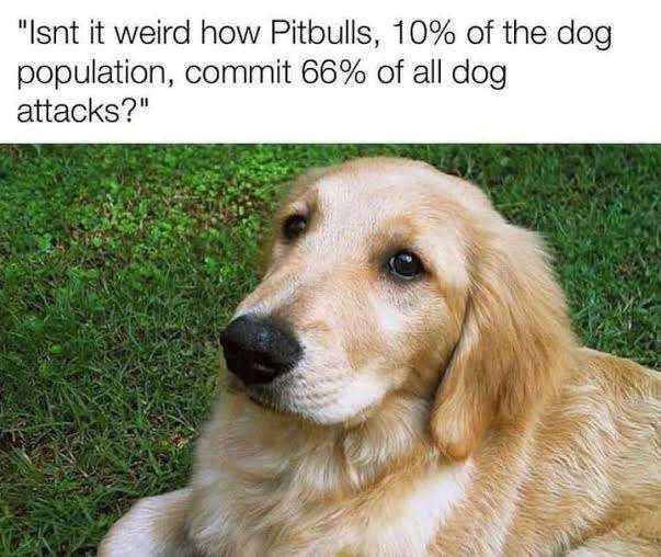 "Isnt it weird how Pitbulls, 10% of the dog population, commit 66% of all dog attacks?"