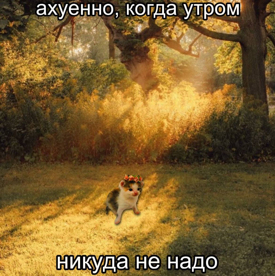 ахуенно, когда утром не надо