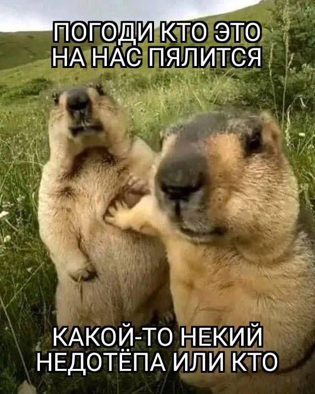 и КТО ЭГО НА НАС ПЯЛИТСЯ КАКОЙ-ТО НЕКИЙ НЕДОТЕПА ИЛИ КТО