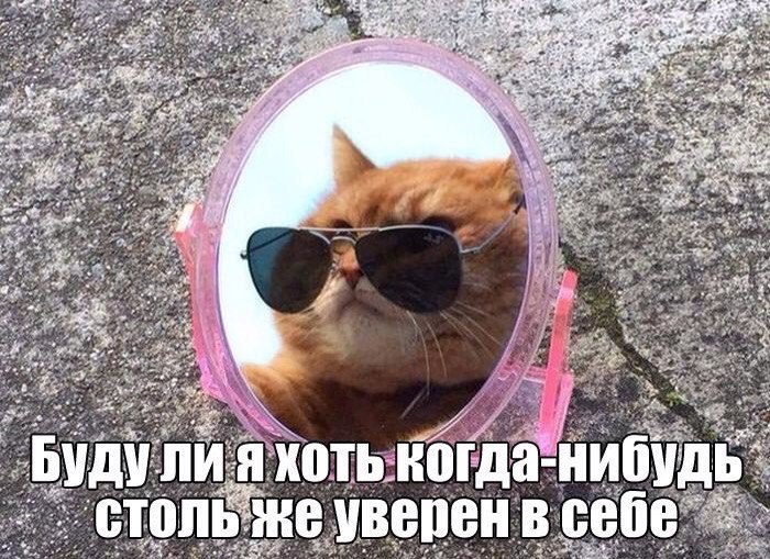 я at 5 be Будули я хоть когда- „столь же уверен в