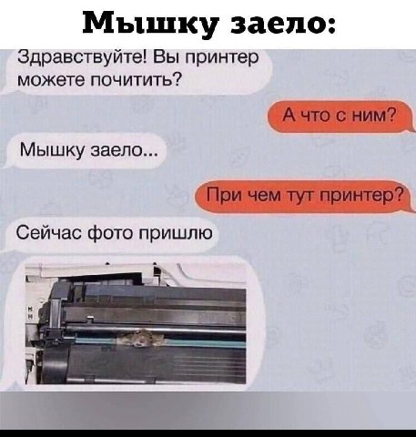 Мышку заело: Здравствуйте! Вы принтер можете почитить? Мышку заело... Сейчас фото пришлю