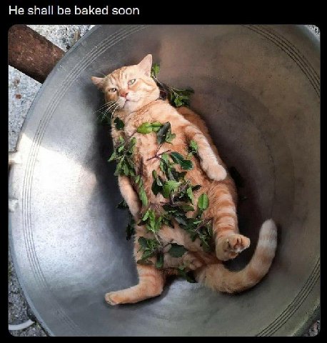 Не shall be baked soon