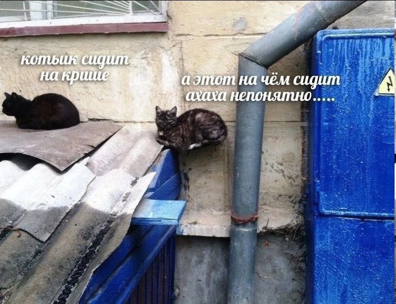 аэтот на чём сидит