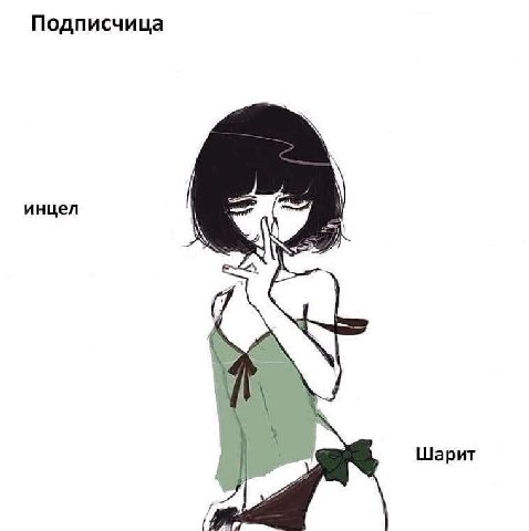 Подписчица инцел Шарит