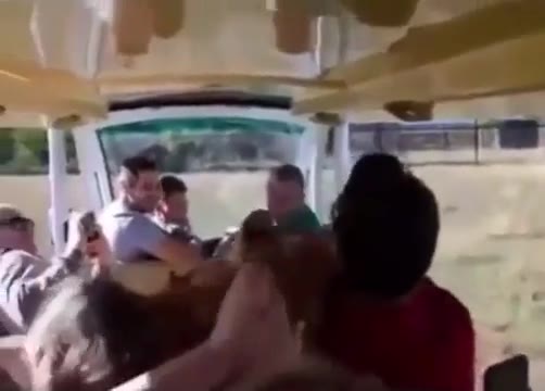 Lion attack captured on film