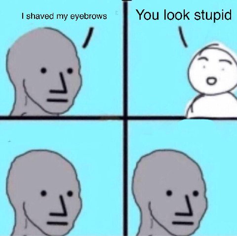 shaved my eyebrows You look stupid