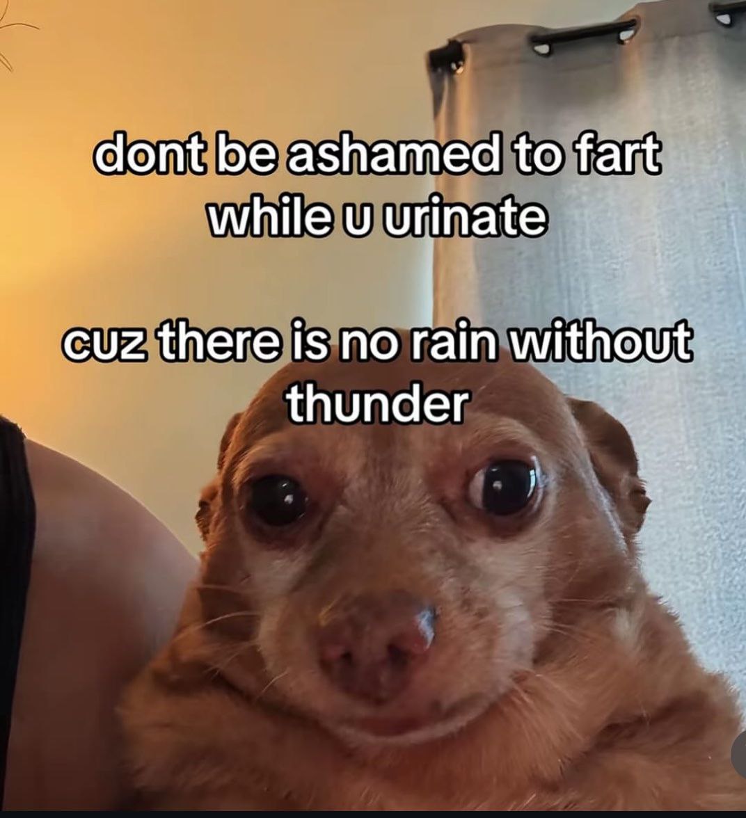 dont be ashamed to fart while urinate cuz there is no rain without thunder