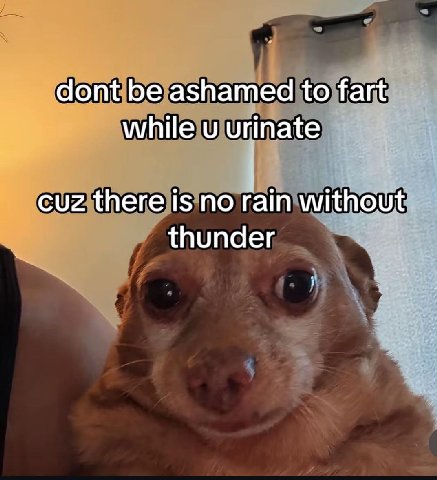 dont be ashamed to fart while urinate cuz there is no rain without thunder