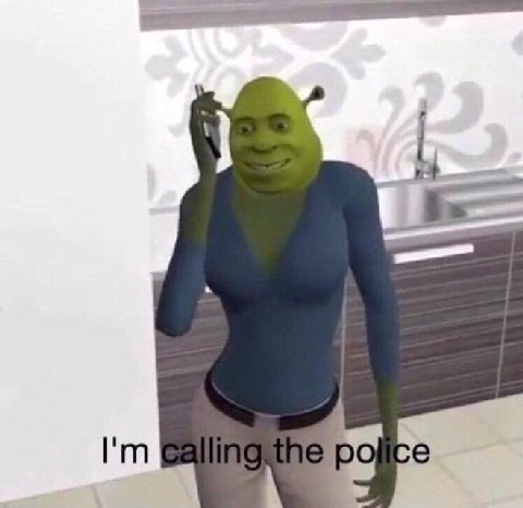police