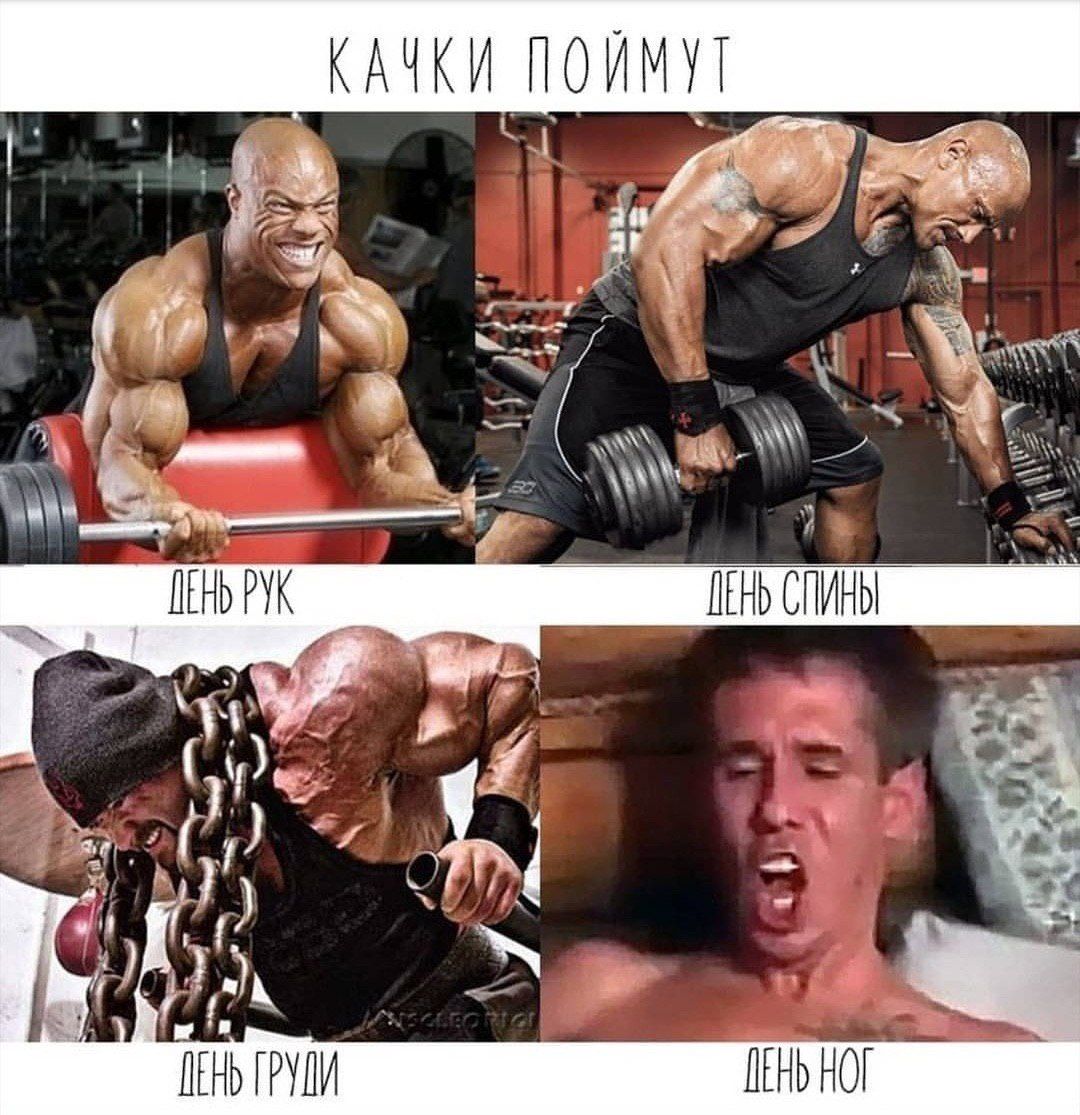 КАЧКИ ПОЙМУТ PYK В у. It ГРУДИ ДЕНЬНОГ