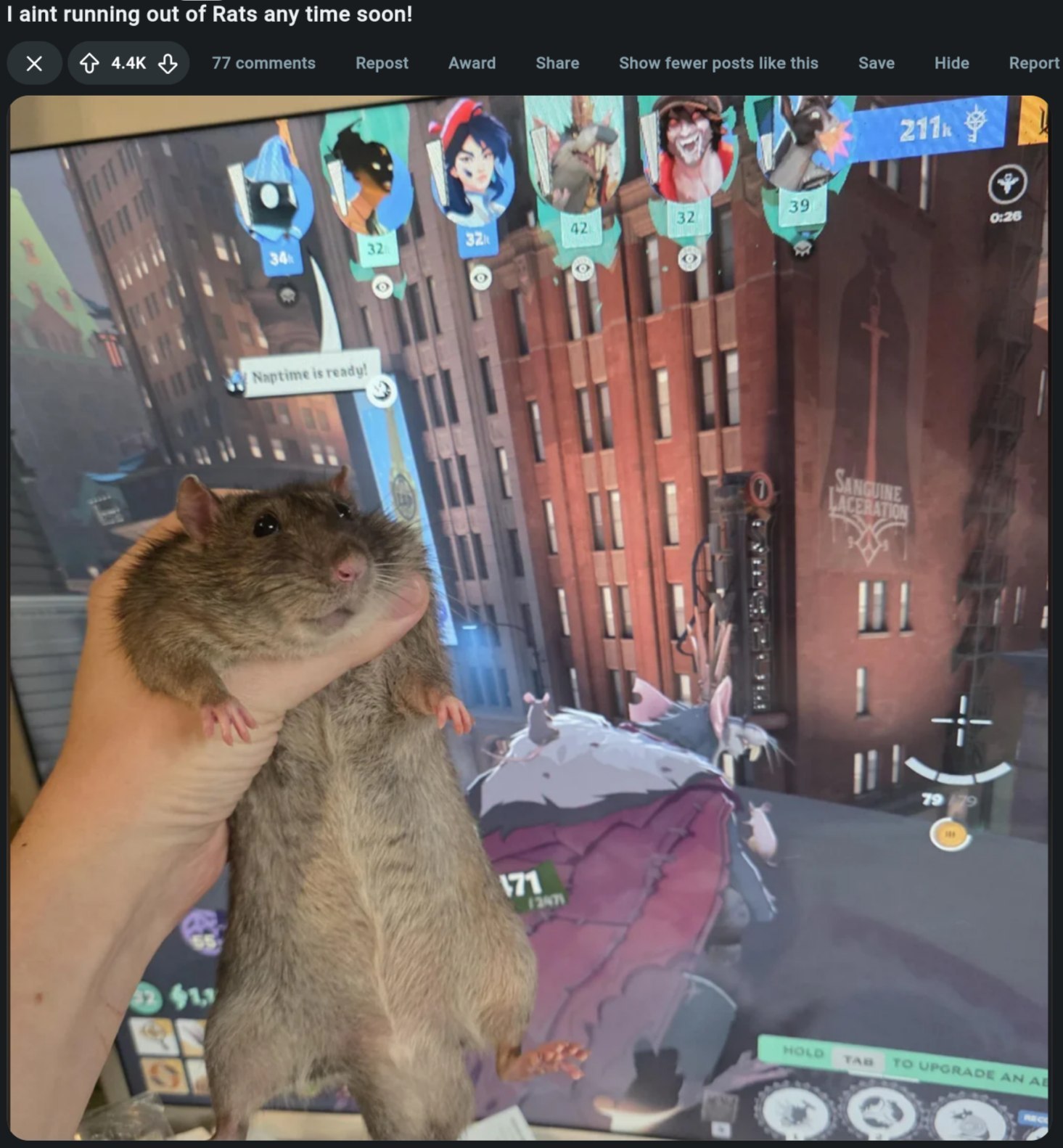 aint running of Rats any time soon! 77 comments Repost Award Share Show fewer posts like this Save Hide Report А fly 1%