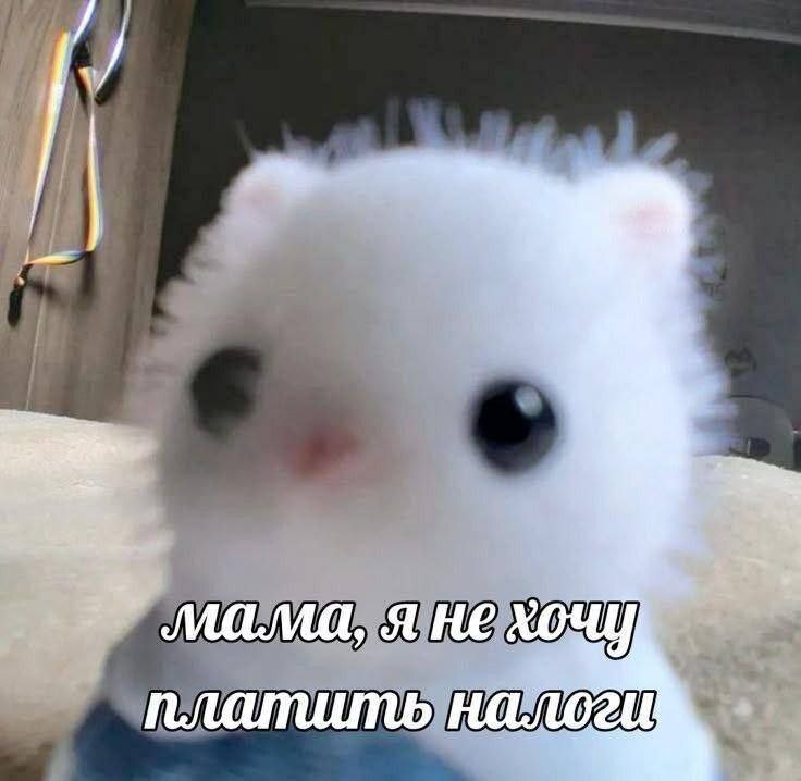 я не