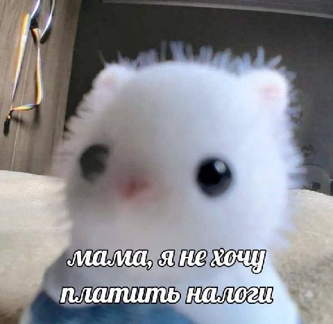 я не